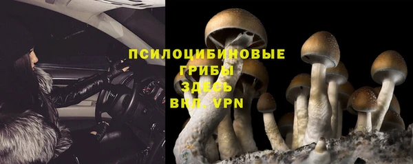 прущие крисы Беломорск