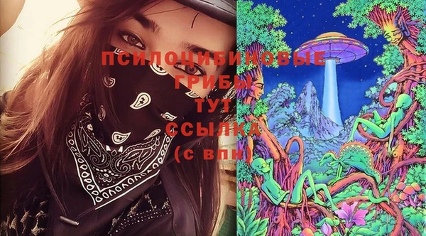 spice Снежинск