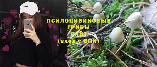 прущие крисы Беломорск
