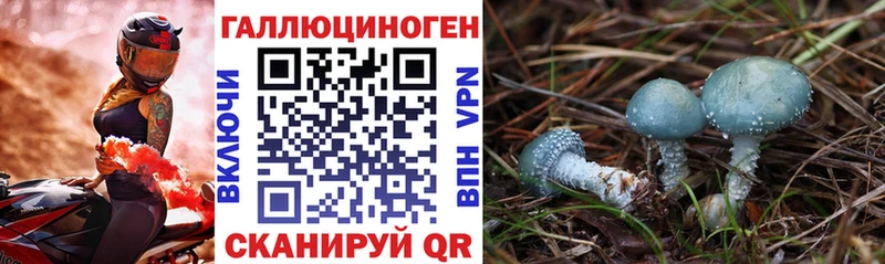 где найти   Кохма  Псилоцибиновые грибы MAGIC MUSHROOMS 